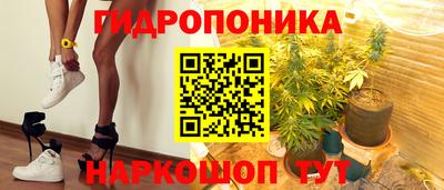 крисы Волжск
