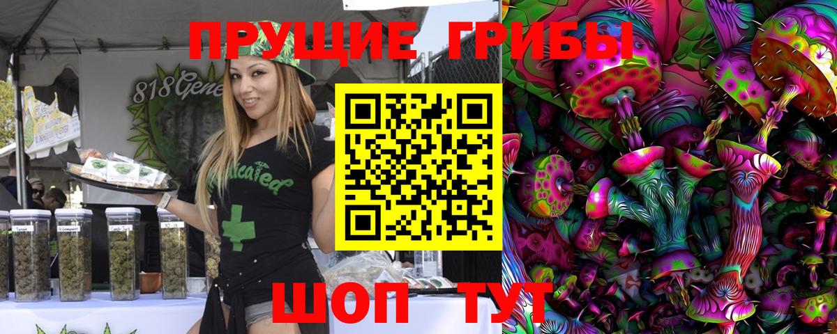 Нововоронеж  Галлюциногенные грибы ЛСД  где найти наркотики  Вход с VPN 